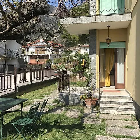 Mimosa * Tignale